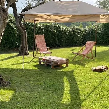 Azienda Agricola Carbone Cosimo * Montecorvino Pugliano