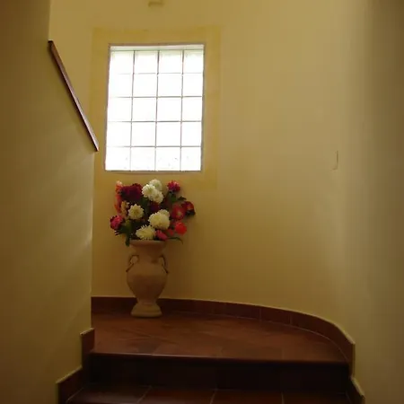 Azienda Agricola Carbone Cosimo Country house *