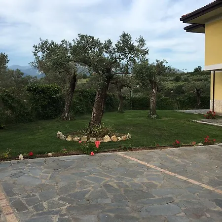 Azienda Agricola Carbone Cosimo * Montecorvino Pugliano